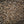 Coffee Beans - 43 Degrees South - 500g